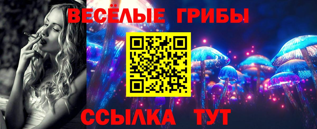Галлюциногенные грибы Psilocybe  Псилоцибиновые грибы мухоморы  Татарск  Вход с VPN 